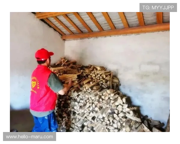 开云ty的环保与可持续发展实践，践行企业社会责任的具体行动