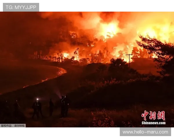 开云体育入口客服提供安全保障措施，确保您的个人信息和交易安全无忧