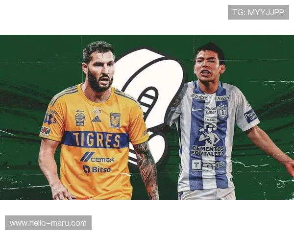 开云体育在线网站多平台支持，手机电脑同步畅享精彩体育赛事