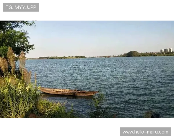 开云KY官方旗舰店官方正品保障让你购物无忧体验优质服务