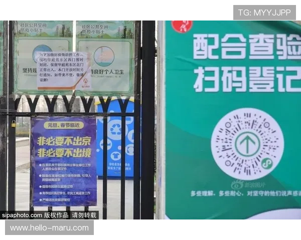 掌握开云网址手机版会员登录技巧提升您的使用体验