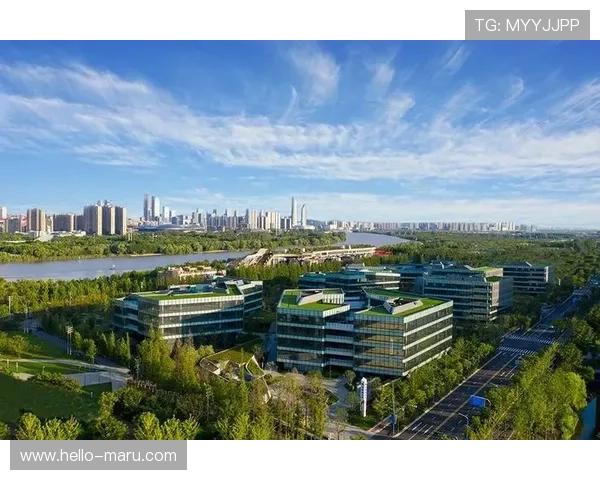 开云官网旗舰厅官方地址详细介绍与访问指南，确保玩家顺利登录体验