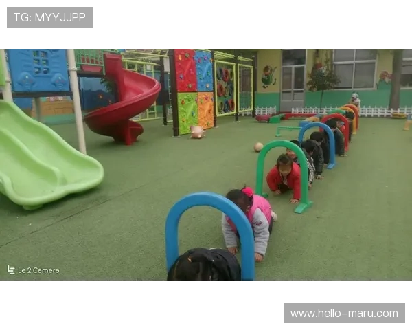 开云爱体育爱游戏：探索体育与游戏融合带来的全新娱乐模式